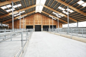 foto Stáj Kostelní Střimelice - after