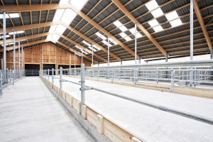 foto Stáj Kostelní Střimelice - after