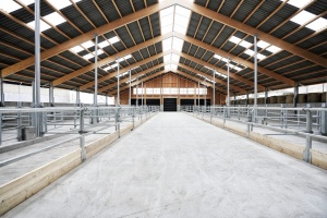 foto Stáj Kostelní Střimelice - after