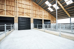 foto Stáj Kostelní Střimelice - after