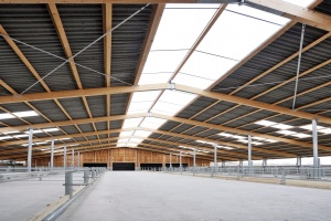 foto Stáj Kostelní Střimelice - after