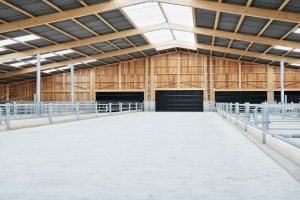 foto Stáj Kostelní Střimelice - after