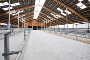 foto Stáj Kostelní Střimelice - after