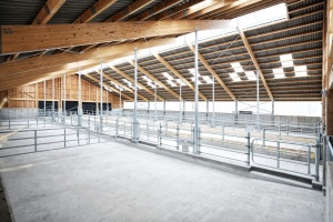 foto Stáj Kostelní Střimelice - after