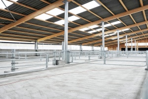 foto Stáj Kostelní Střimelice - after