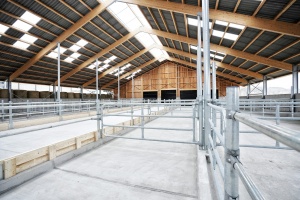 foto Stáj Kostelní Střimelice - after